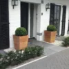 ADEZZ20planter2021
