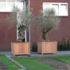 ADEZZ20planter203